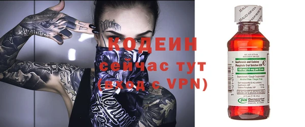 молекула духа Богородицк