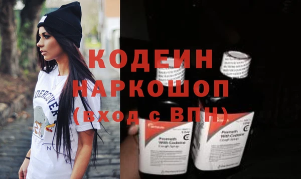 молекула духа Богородицк