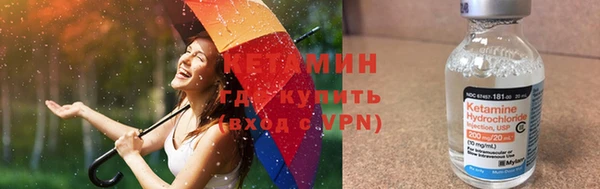 молекула духа Богородицк