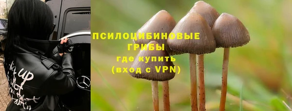 молекула духа Богородицк