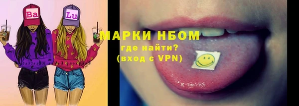 молекула духа Богородицк