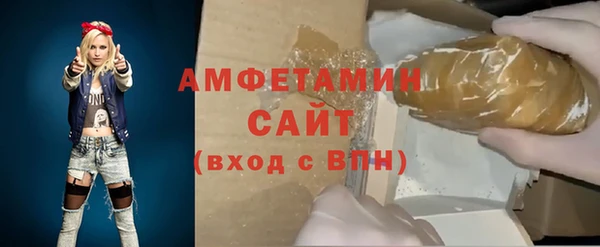 молекула духа Богородицк