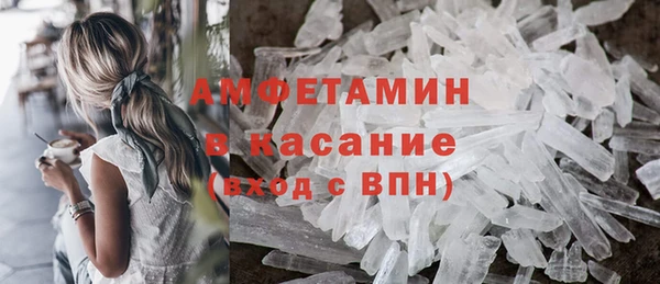 молекула духа Богородицк