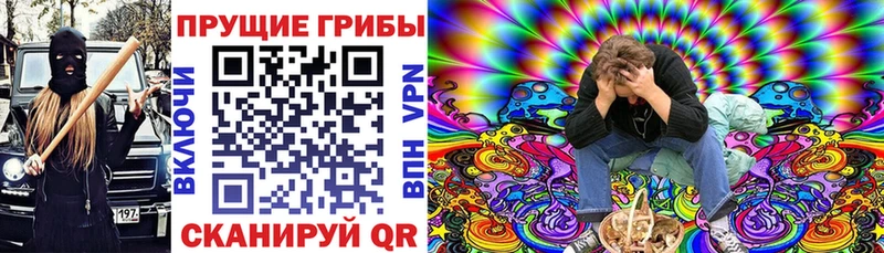 Псилоцибиновые грибы Psilocybine cubensis  Бородино 